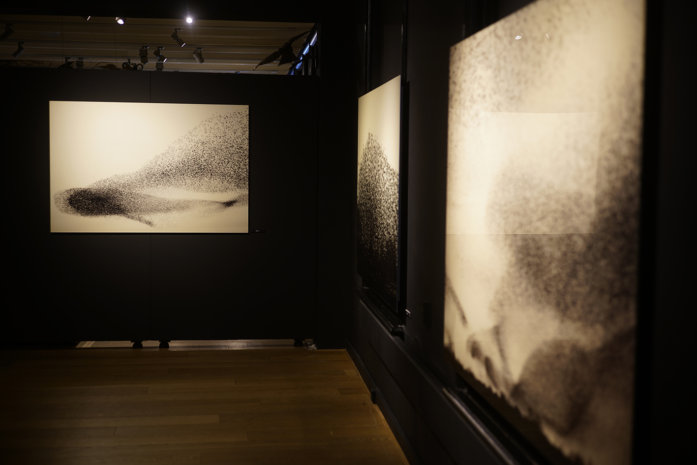 Natuurmuseum Fryslan